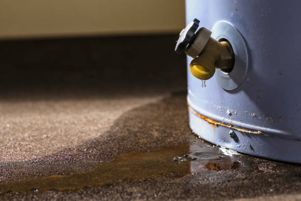 Carpet water damage restoration in NJ