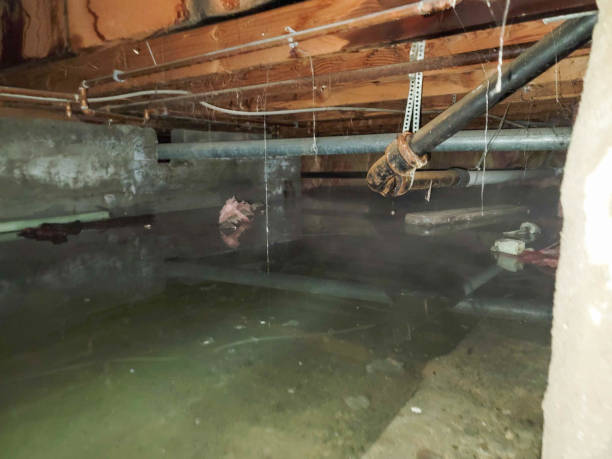 Best 24-hour water damage restoration  in Pine Ridge At Crestwood, NJ