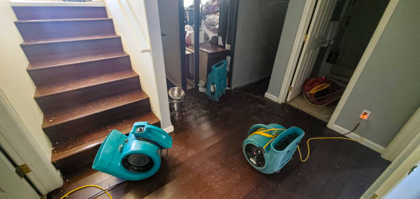Best Mold removal after water damage  in Pine Ridge At Crestwood, NJ