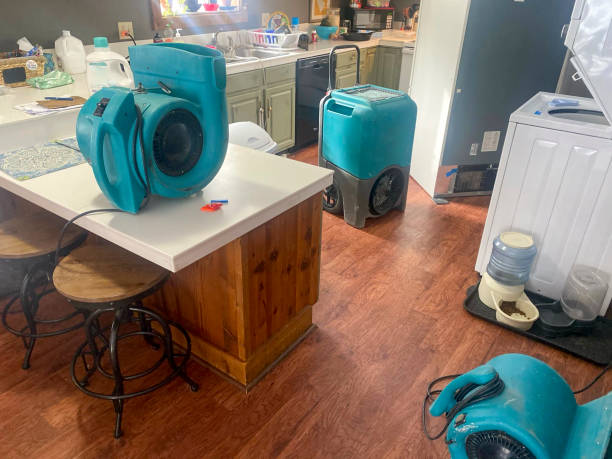 Best Water damage cleanup near me  in Pine Ridge At Crestwood, NJ