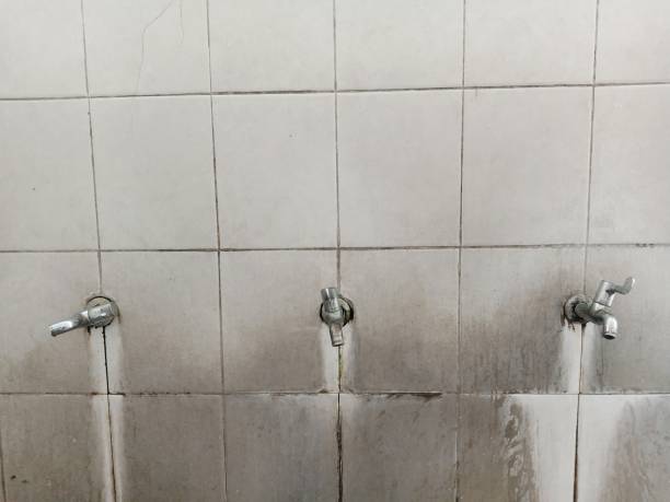 Best Flood restoration services  in Pine Ridge At Crestwood, NJ