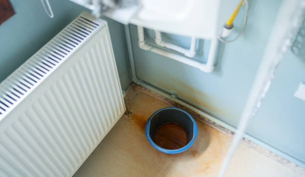 Best Water damage restoration near me  in Pine Ridge At Crestwood, NJ
