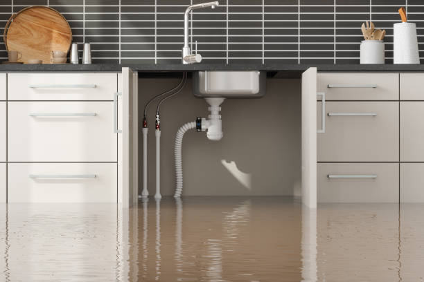 Best Sewage cleanup and water damage restoration  in Pine Ridge At Crestwood, NJ