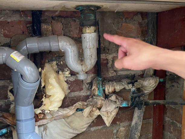 Best Water damage contractors near me  in Pine Ridge At Crestwood, NJ